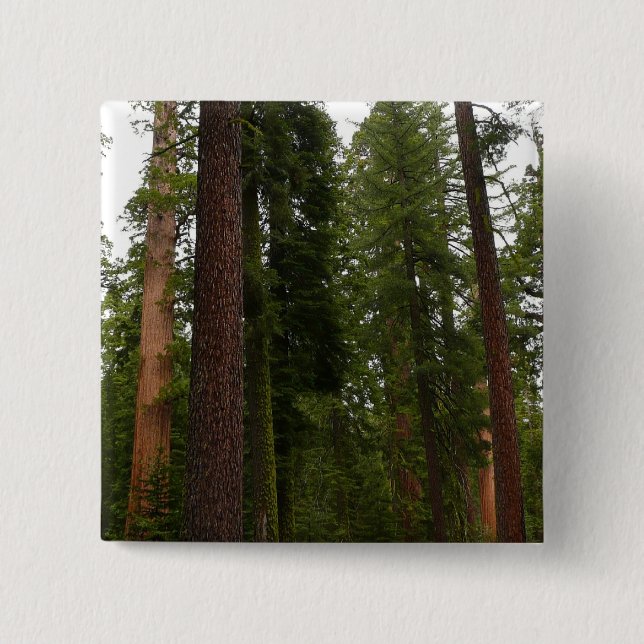 Bóton Quadrado 5.08cm Mariposa Grove no Parque Nacional de Yosemite (Frente)