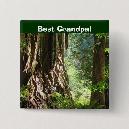 Bóton Quadrado 5.08cm Melhor Avô! botões Árvores de Redwood