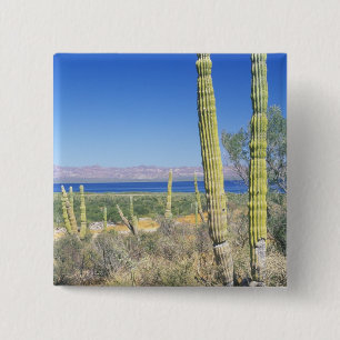 Bóton Quadrado 5.08cm México, Baja California Sur, Mulege, Bahia