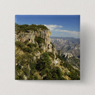 Bóton Quadrado 5.08cm México, Estado de Chihuahua, Copper Canyon. ESTE