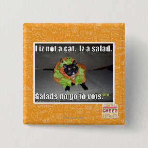 Bóton Quadrado 5.08cm Mim iz não um gato. Iz um salad.
