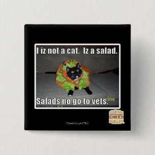 Bóton Quadrado 5.08cm Mim iz não um gato. Iz um salad.