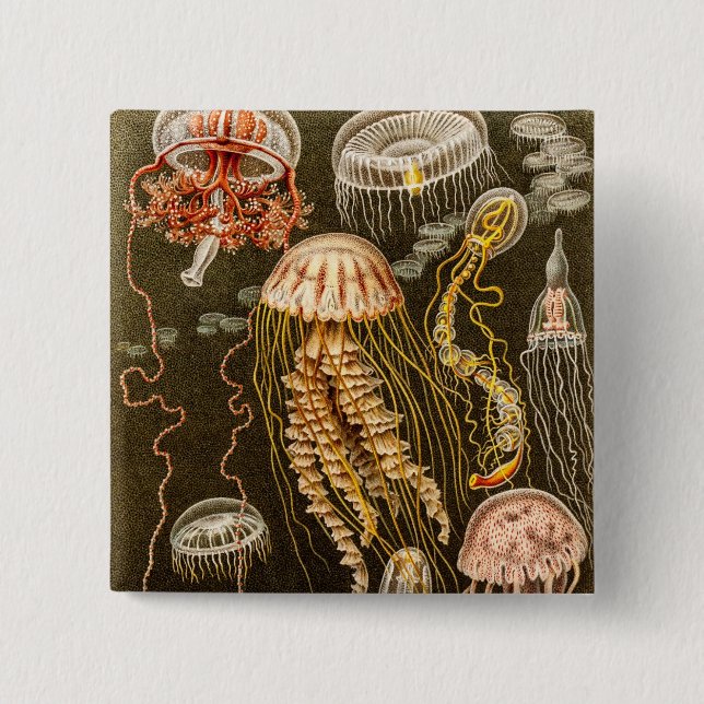 Bóton Quadrado 5.08cm Modelo das medusas da antiguidade das medusa do (Frente)