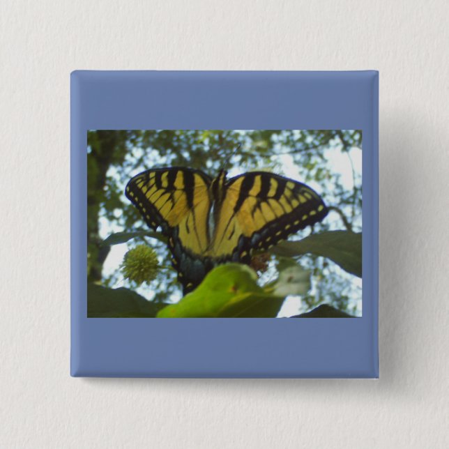 Bóton Quadrado 5.08cm Monarca Amarelo Sunny (Frente)
