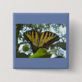 Bóton Quadrado 5.08cm Monarca Amarelo Sunny