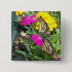 Bóton Quadrado 5.08cm Monarch Twins #2