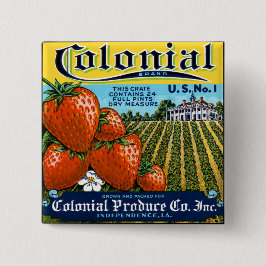 Bóton Quadrado 5.08cm Morangos Coloniais