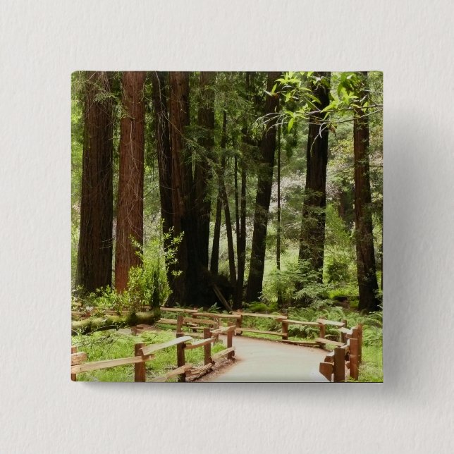 Bóton Quadrado 5.08cm Muir Woods Path I Nature Photoics (Frente)