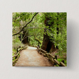 Bóton Quadrado 5.08cm Muir Woods Path II - Fotografia natural