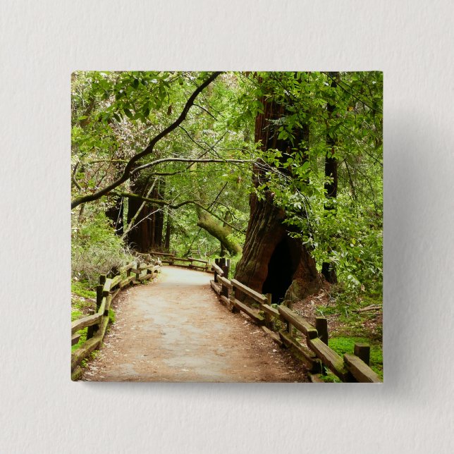 Bóton Quadrado 5.08cm Muir Woods Path II - Fotografia natural (Frente)