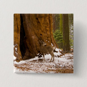 Bóton Quadrado 5.08cm Mule Deer