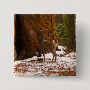 Bóton Quadrado 5.08cm Mule Deer Button