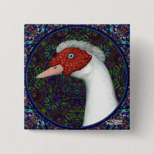 Bóton Quadrado 5.08cm Muscovy Cabeça de Pato Branca