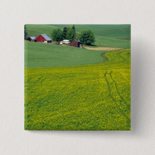 Bóton Quadrado 5.08cm N.A., EUA, Idaho, Condado de Latah, perto de Genes