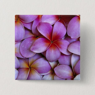 Bóton Quadrado 5.08cm N.A., EUA, Maui, Havaí. Flores de Plumeria rosa.