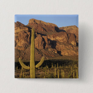 Bóton Quadrado 5.08cm NA, EUA, Arizona. Organ Pipe Cactus National