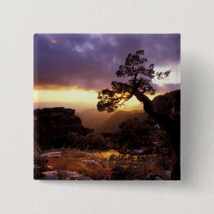 Bóton Quadrado 5.08cm NA, EUA, Arizona, Tucson, Pôr do sol e solitária