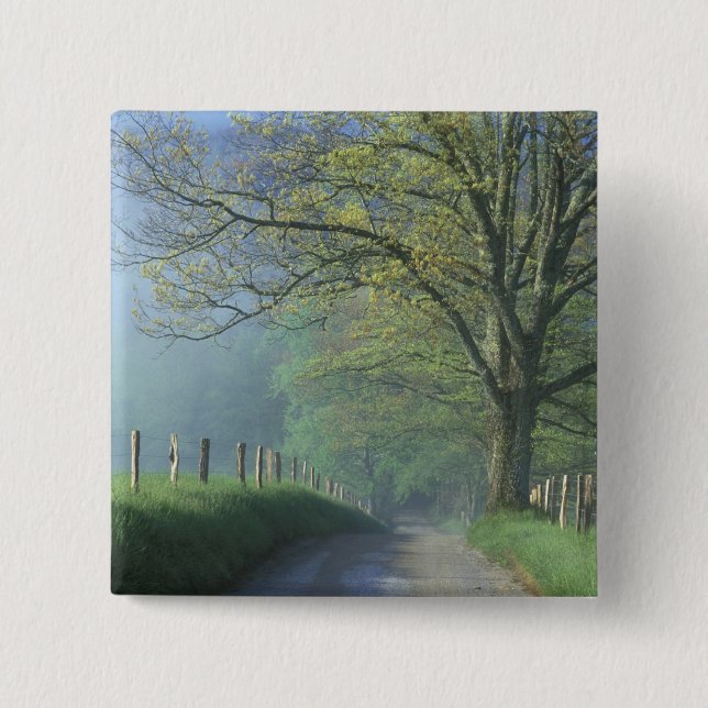 Bóton Quadrado 5.08cm NA, EUA, Tennessee, Cades Cove, Enfumaçado Excelen (Frente)