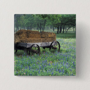 Bóton Quadrado 5.08cm NA, EUA, Texas, a leste de Devine, Velha carroça e