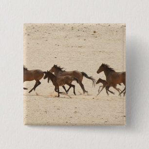 Bóton Quadrado 5.08cm Namíbia, Aus. Grupo de cavalos selvagens correndo