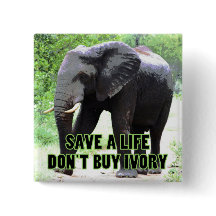 Não Comprar Ivory, salve a vida de um elefante