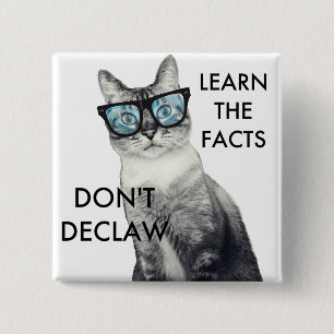 Bóton Quadrado 5.08cm Não declaw
