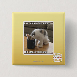 Bóton Quadrado 5.08cm Não é viciado à cafeína