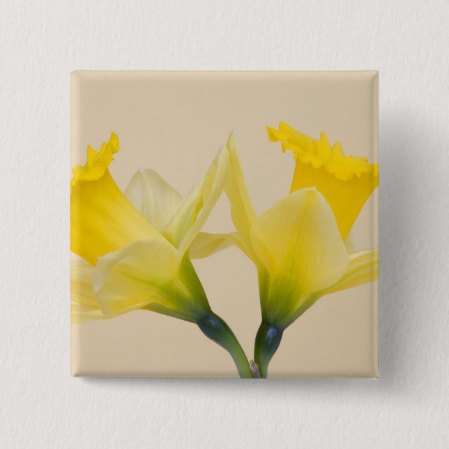 Bóton Quadrado 5.08cm Narcisos amarelos (Frente)