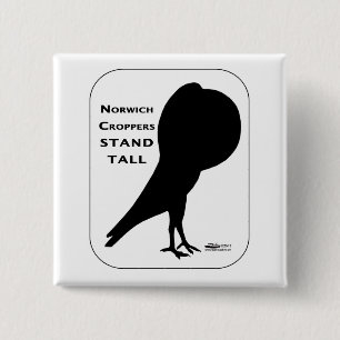 Bóton Quadrado 5.08cm Norwich Croppers Stand Tall