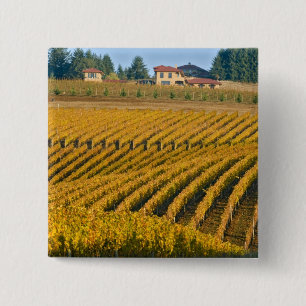 Bóton Quadrado 5.08cm Noz Negra, com aspecto Tuscano, acima da