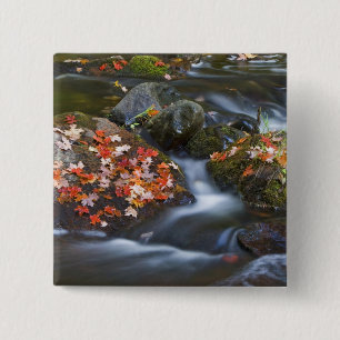 Bóton Quadrado 5.08cm O carpete vermelho deixa as rochas