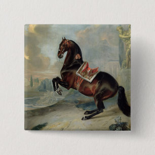 Bóton Quadrado 5.08cm O cavalo de baía escuro 'Valido