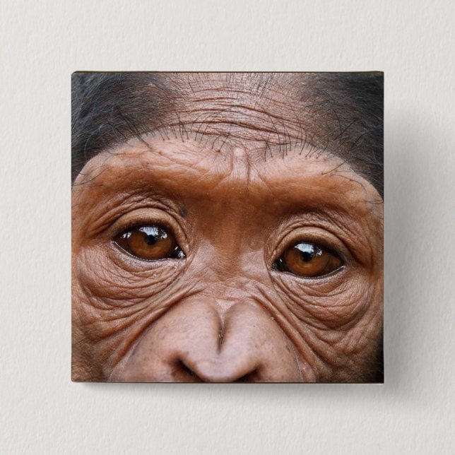 BÓTON QUADRADO 5.08CM O CHIMPANZÉ EYES O BOTÃO (Frente)