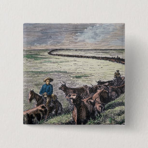 Bóton Quadrado 5.08cm O gado de Longhorn conduz de Texas a Abilene,