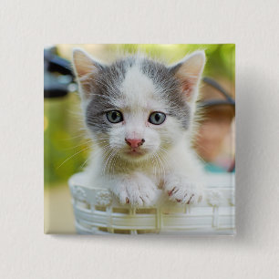 Bóton Quadrado 5.08cm O gatinho monta uma bicicleta