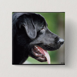 Bóton Quadrado 5.08cm O Labrador preto