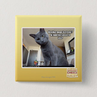 Bóton Quadrado 5.08cm O meio de Wadya "obtem a ajuda"?