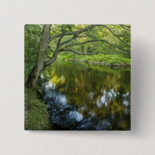 Bóton Quadrado 5.08cm O rio Taunton em Bridgewater,