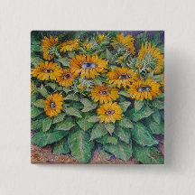 Observação das naturezas