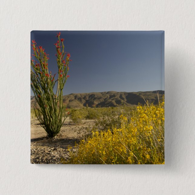 Bóton Quadrado 5.08cm Ocotillo e Desert Senna (Frente)