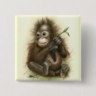 Bóton Quadrado 5.08cm Orangutan Baby Com Folhas