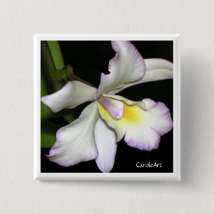 Bóton Quadrado 5.08cm Orquídea branca clássica
