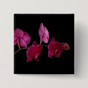 Bóton Quadrado 5.08cm Orquídea cor-de-rosa do Dendrobium - flores