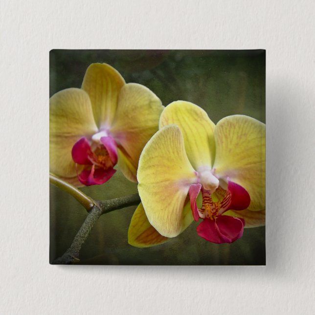 Bóton Quadrado 5.08cm Orquídeas de traça amarelas - Phalaenopsis (Frente)
