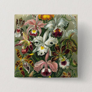 Bóton Quadrado 5.08cm Orquídeas Haeckel