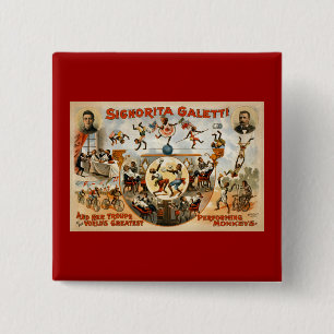 Bóton Quadrado 5.08cm Os grandes macacos de execução 1892 do mundo