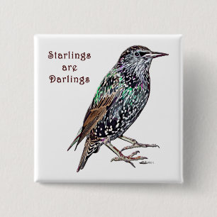Bóton Quadrado 5.08cm Os Starlings são queridos