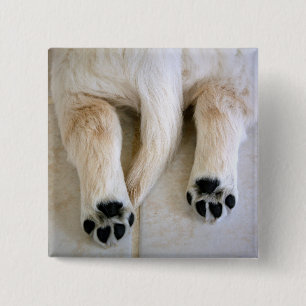 Bóton Quadrado 5.08cm Ouro Retriever Puppy Toes