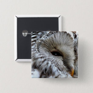 BÓTON QUADRADO 5.08CM OWLS