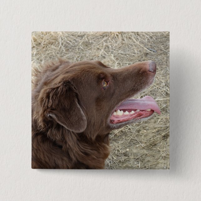 Bóton Quadrado 5.08cm P4 Flatlandersam (Frente)